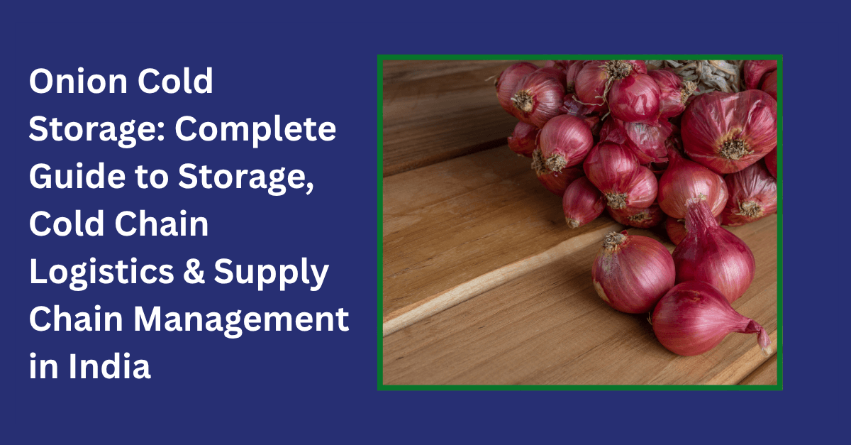 onion cold storage