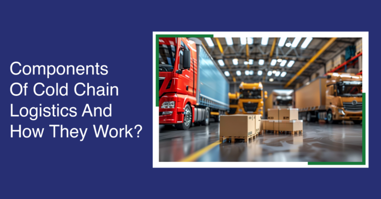 Components Of Cold Chain Logistics And How They Work?