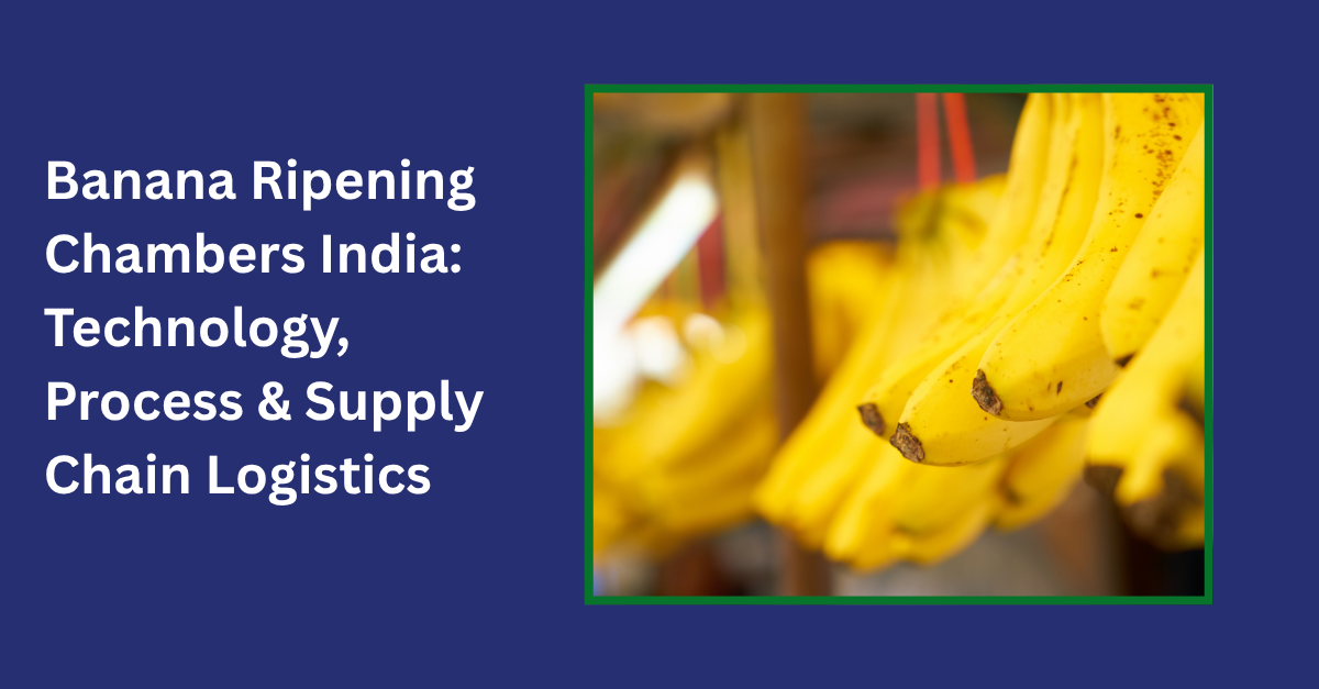 Banana Ripening Chambers India: Technology, Process & Supply Chain Logistics