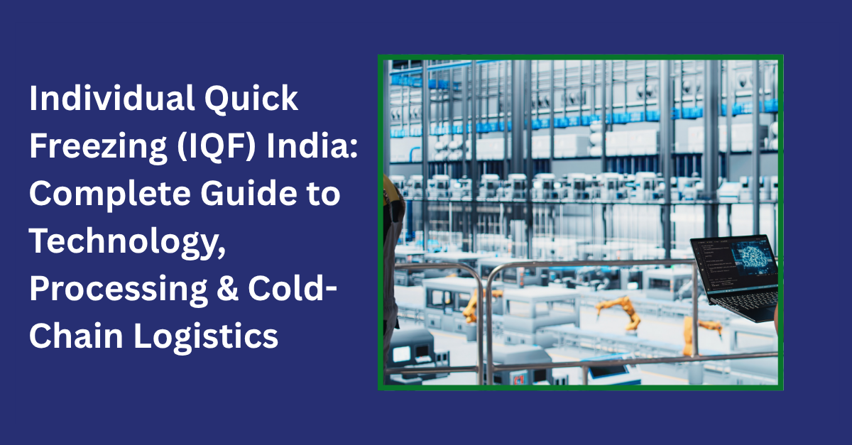 Individual Quick Freezing (IQF) India: Complete Guide to Technology, Processing & Cold-Chain Logistics