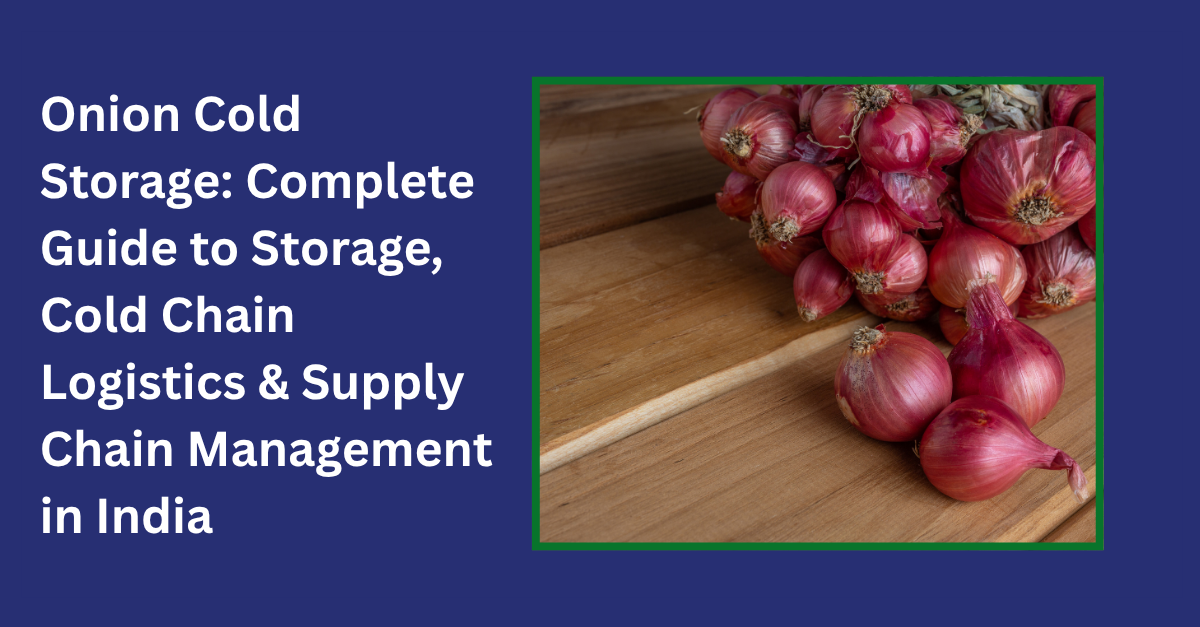onion cold storage